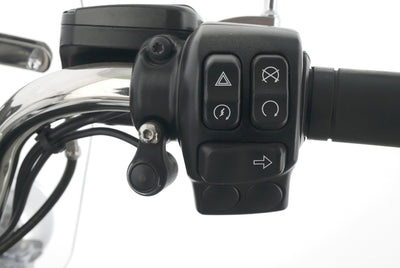 HARLEY DAVIDSON ROAD KING CLASSIC