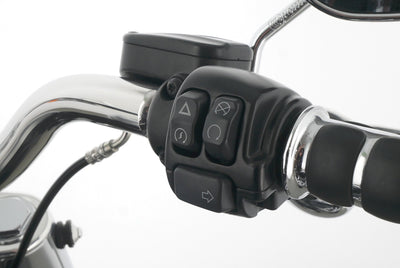 HARLEY DAVIDSON SOFTAIL FAT BOY 114