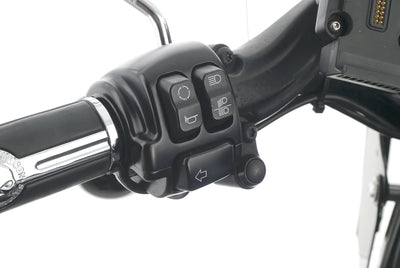 HARLEY DAVIDSON SOFTAIL SLIM