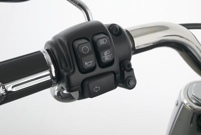 HARLEY DAVIDSON SOFTAIL FAT BOY 114