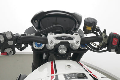 TRIUMPH SPEED TRIPLE 1050 RS