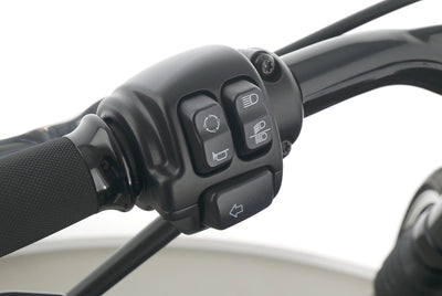 HARLEY DAVIDSON SOFTAIL BREAKOUT 114