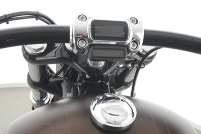 HARLEY DAVIDSON SOFTAIL BREAKOUT 114