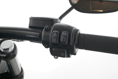 HARLEY DAVIDSON SOFTAIL BREAKOUT 114