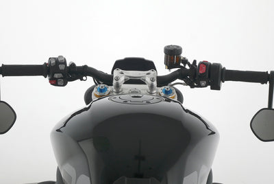 TRIUMPH SPEED TRIPLE 1200 RS