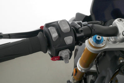 TRIUMPH SPEED TRIPLE 1200 RS