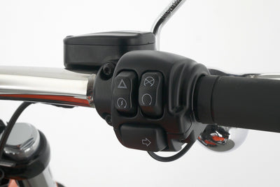 HARLEY DAVIDSON SOFTAIL BREAKOUT 117