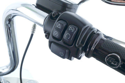 HARLEY DAVIDSON SOFTAIL FAT BOY 114