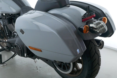 HARLEY DAVIDSON LOW RIDER ST 117