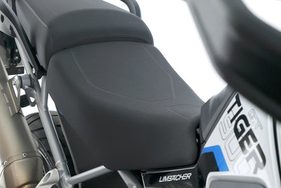 TRIUMPH TIGER 900 ALPINE EDITION