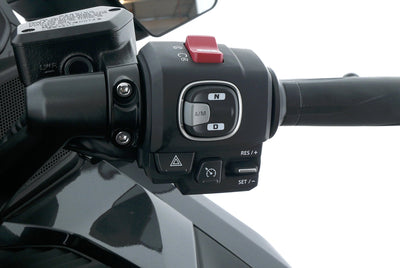 HONDA GL 1800 GOLDWING TOUR DCT