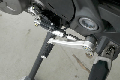 DUCATI MONSTER 821 STEALTH