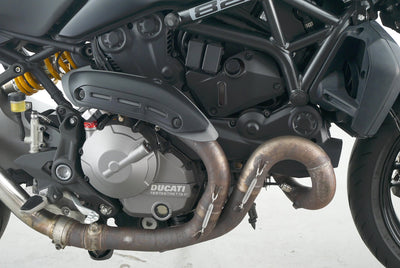 DUCATI MONSTER 821 STEALTH