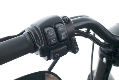 HARLEY DAVIDSON SPORTSTER XL 883 IRON