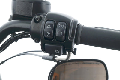 HARLEY DAVIDSON SPORTSTER XL 883 IRON
