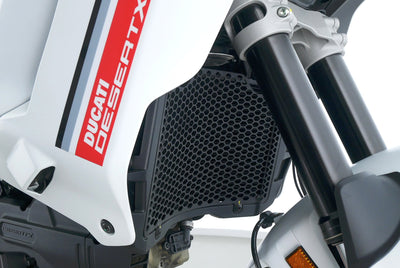 DUCATI DESERT X