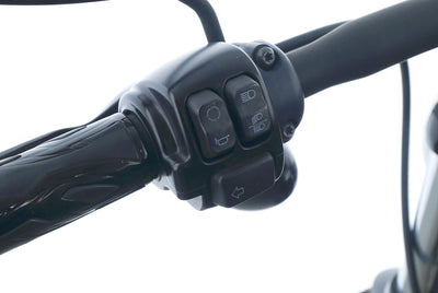 HARLEY DAVIDSON SPORTSTER XL 883 N IRON