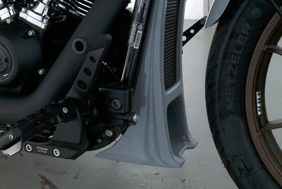 HARLEY DAVIDSON LOW RIDER S