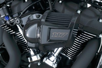 HARLEY DAVIDSON LOW RIDER S