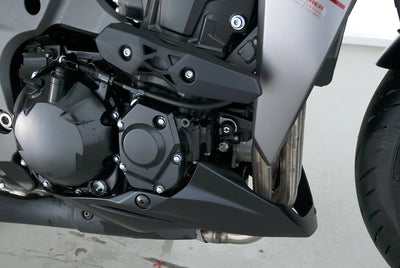 KAWASAKI Z 1000