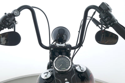HARLEY DAVIDSON SOFTAIL CROSS BONES