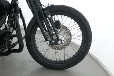 HARLEY DAVIDSON SOFTAIL CROSS BONES