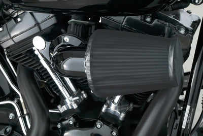 HARLEY DAVIDSON SOFTAIL CROSS BONES