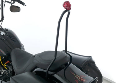 HARLEY DAVIDSON SOFTAIL CROSS BONES