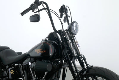 HARLEY DAVIDSON SOFTAIL CROSS BONES