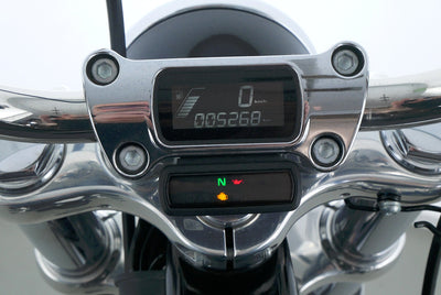 HARLEY DAVIDSON SOFTAIL STANDARD