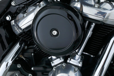 HARLEY DAVIDSON SOFTAIL STANDARD