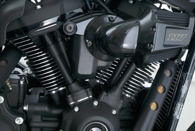 HARLEY DAVIDSON SOFTAIL LOW RIDER ST