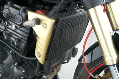 TRIUMPH SPEED TRIPLE 1050 R