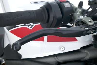 TRIUMPH SPEED TRIPLE 1050 RS
