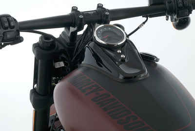 HARLEY DAVIDSON SOFTAIL FAT BOB 114
