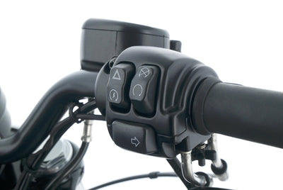 HARLEY DAVIDSON SPORTSTER XL 1200 48 FORTY
