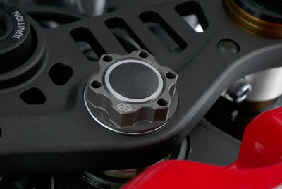 YAMAHA YZF R9 70TH LLC