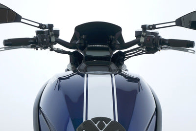 DUCATI DIAVEL CROMO