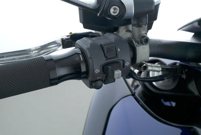 DUCATI DIAVEL CROMO