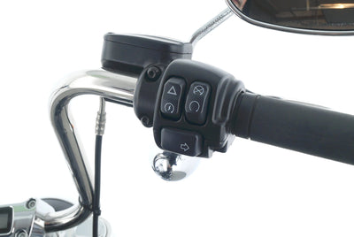 HARLEY DAVIDSON SOFTAIL STANDARD