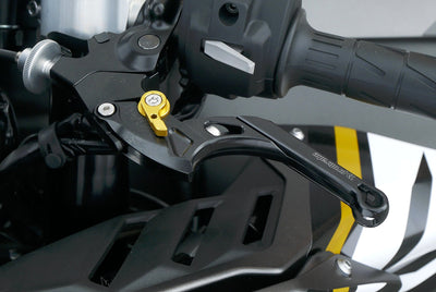 KAWASAKI ZX 10 RR LIMITED EDITION