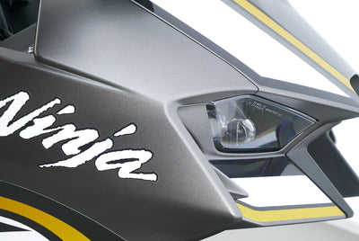 KAWASAKI ZX 10 RR LIMITED EDITION