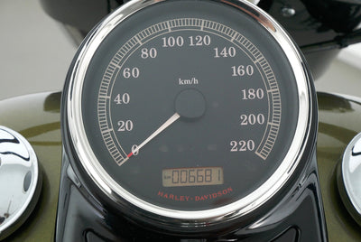 HARLEY DAVIDSON SOFTAIL SLIM