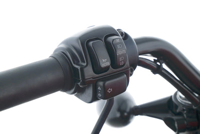 HARLEY DAVIDSON SPORTSTER XL1200 FORTY