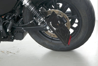 HARLEY DAVIDSON SPORTSTER XL 1200 IRON