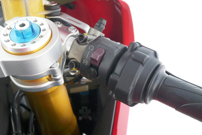 DUCATI 1299 PANIGALE R FINAL EDITION