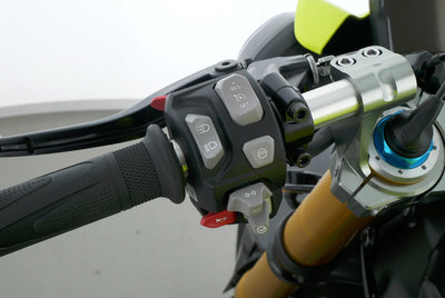 TRIUMPH SPEED TRIPLE 1200 RX