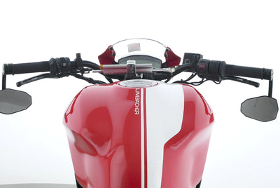 DUCATI MONSTER 821 STRIPES