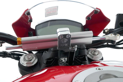 DUCATI MONSTER 821 STRIPES