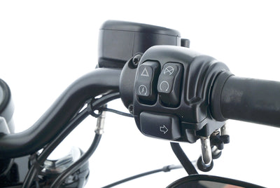 HARLEY DAVIDSON SPORTSTER XL 1200 48 FORTY